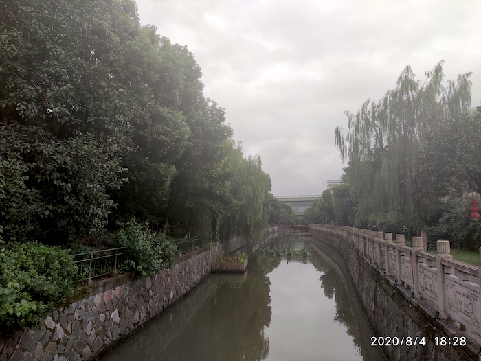 柳树、河流.jpg