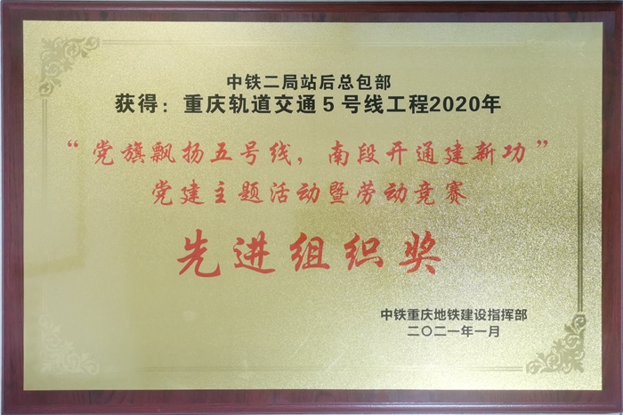 先进组织奖_副本.jpg