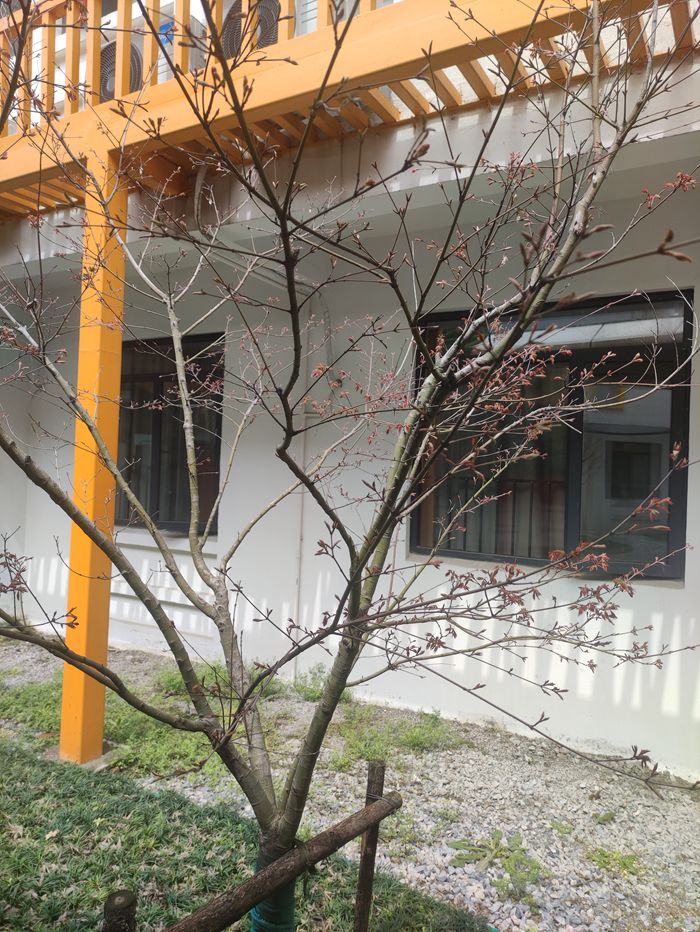 1615538559604123.jpg 图3.jpg