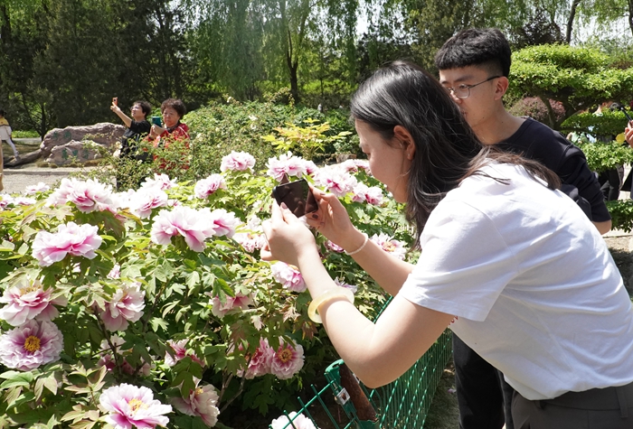 图1：赏花游玩.JPG