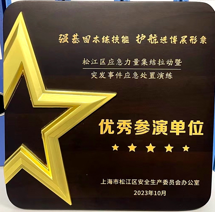 图：“优秀参演单位”荣誉奖牌（2）.jpg